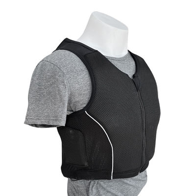 Ervaar de ultieme bescherming met ons professionele EVA-padded paardvest