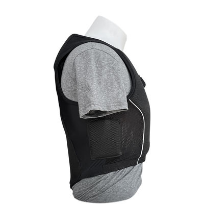 Ervaar de ultieme bescherming met ons professionele EVA-padded paardvest