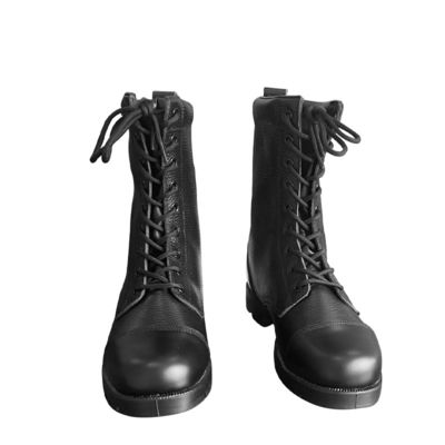 Mensen zwart leer Duurzaam Canvas Wandelbescherming Danner laarzen voor training en reizen